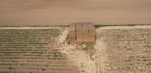 stop siana na polu z drona © Ignacy