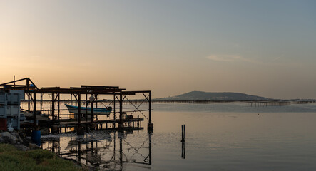 Oyster park on the Thau pond at sunrise, in Bouzigues in Occitanie, France