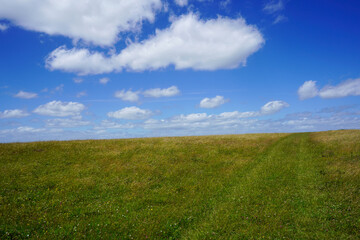 View of a grass field and blue sky's with clouds