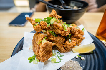 A Japanese Chicken Karage