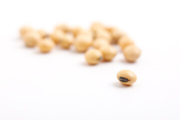 Dry soybean seed on white background.