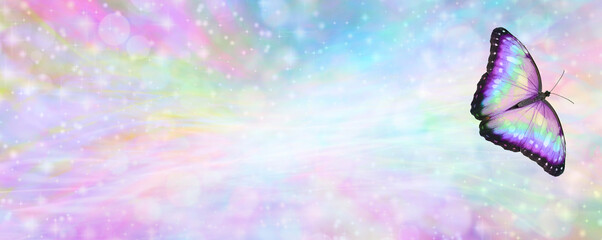 Feminine Multicoloured Butterfly  Message Banner -  a beautiful unique colourful butterfly floating off to the right against a wide bokeh pastel coloured background and copy space  © Nikki Zalewski