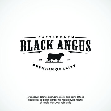 Angus cow logo design vintage style