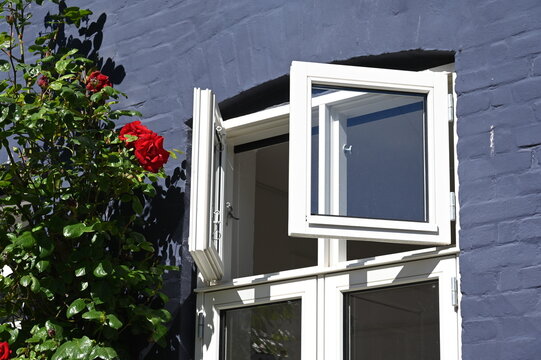Geöffnetes Fensteroberlicht in grauer Hausfassade mit leuchtend  roten Kletterrosen