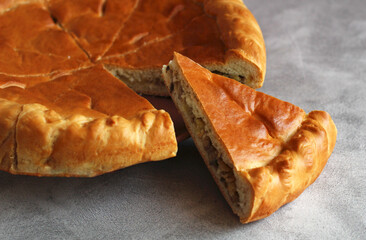 a piece of pie with chicken and mushrooms in a close-up section