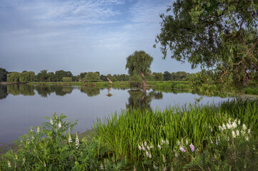 Summertime walk around Bushy Park