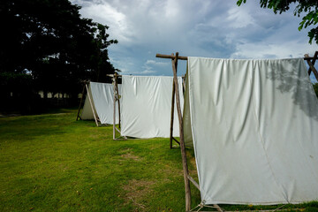white tents in the garden © Patpa
