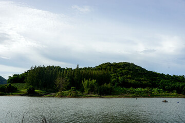 lake and forest in the mountain