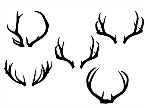set of antler eik vector illustrator