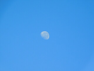 Spectacular photograph of a quarter moon in a crystal clear bright blue sky 