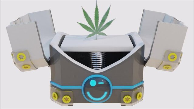Lootbox with cannabis leaf