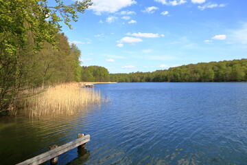 Fototapeta na wymiar lake Liepnitzsee near Wandlitz in Brandenburg in spring, Germany