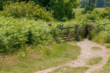 A country gate in England on a summers day