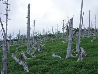 奈良県　大台ケ原の風景