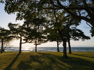 Obraz premium Lake at sunset, backlight at dusk powerfully illuminating the trees