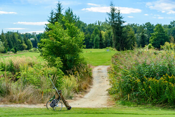 stary wózek golfowy na polu
