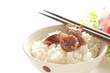 Canned food, chicken gizzards and rice with copy space
