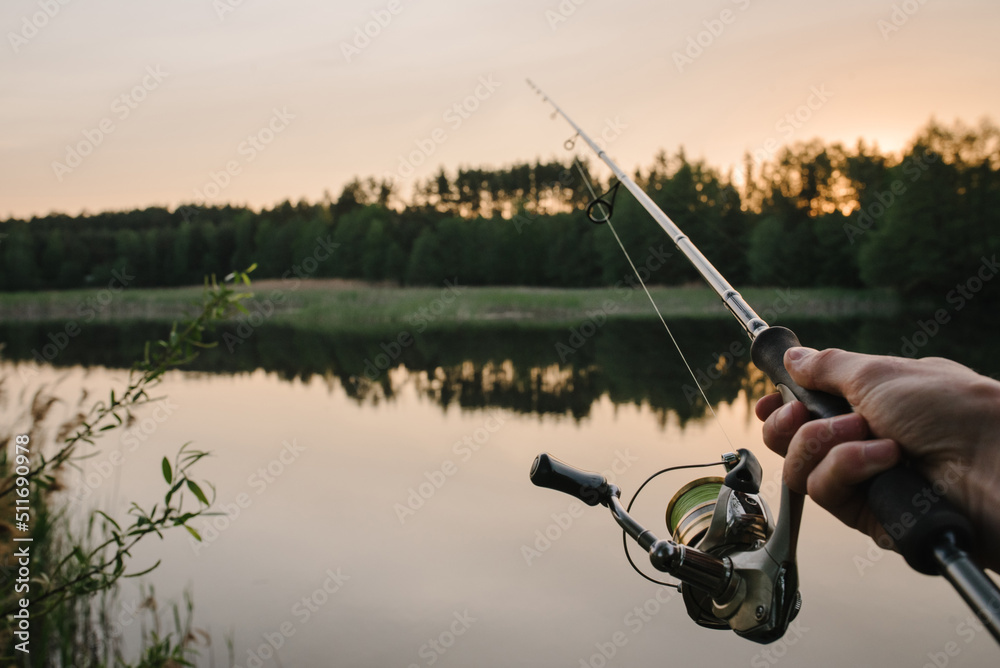 Wall mural Man catching fish, pulling rod while fishing from lake or pond. Fisherman with rod, spinning reel on river bank. Sunrise. Fishing for pike, perch, carp on beach lake or pond. Background wild nature.