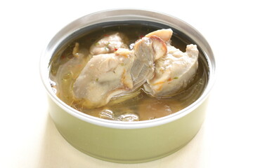 Canned food, smoked oyster  on white background