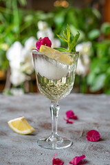 Cocktail Drink With Decorative