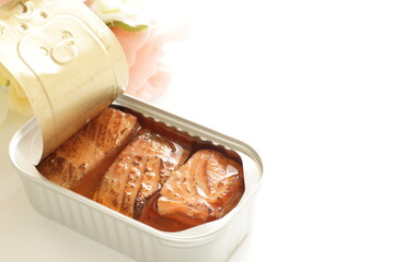 Canned food, grilled salmon fillet with copy space 