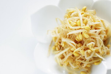 Korean food, boiled soy sprout mixed with sesame oil Namul comfort food