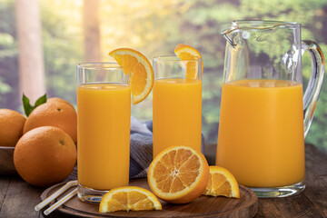 Two glasses and pitcher of orange juice with summer rural background
