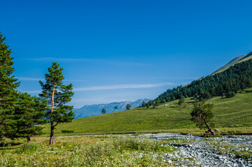 The beautiful summer landscape in Arkhyz