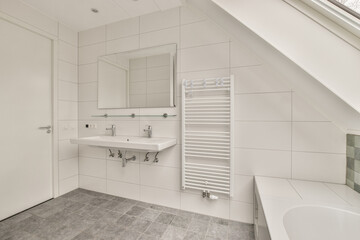 Interior of contemporary bathroom with shower and sink in minimal style in house
