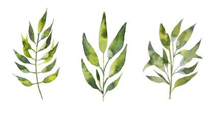 Set of watercolor design elements collection of circles, triangles, strokes, stripes, illustration isolated on white background