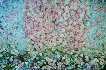 wedding flower decoration selective focus, soft focus of white flower
