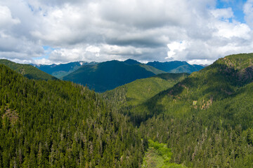 Olympic Mountains in June