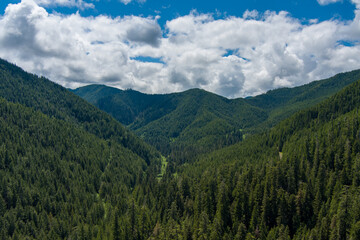 Valley in the Olympic Mountains 