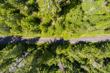 Fototapeta premium Washington state outdoors near Spider Lake