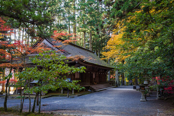 高野山（和歌山県伊都郡高野町）の紅葉