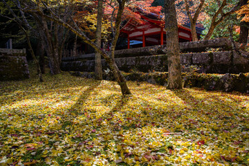 高野山（和歌山県伊都郡高野町）の紅葉