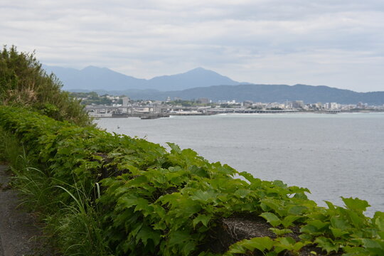 Along the road overlooking the sea