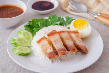 Crispy pork with rice on plate and sauce in bowl