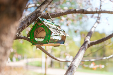 Bird house feeder on a branch in the summer garden