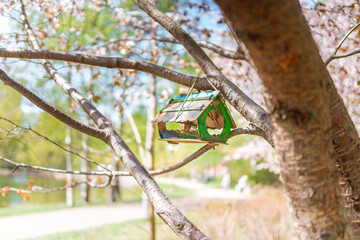 Bird house feeder on a branch in the summer garden