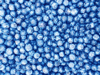 Blueberry texture background. Top view.