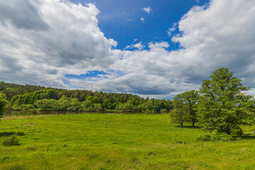Beautiful view of field with river against backdrop of forest and blue sky with white clouds. Sweden.