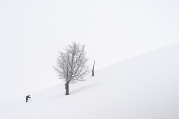 Winter landscape with trees isolated in snow