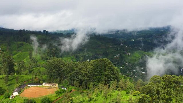 Mountain landscape with tea estate. Tea plantations in Sri Lanka.
