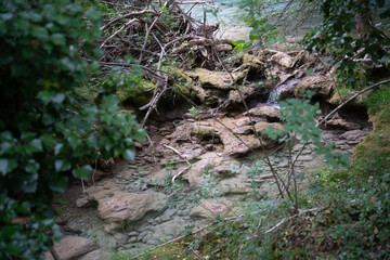 Obraz premium Le parc National d'urederra dans le pays Basque espagnol.