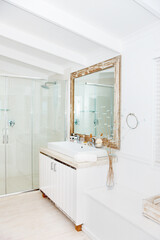 Luxury in the bathroom. Modern and clean bathroom with luxurious amenities.