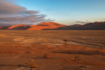 Fototapeta na wymiar Namib desert landscape panoramic scene of huge red dunes