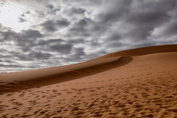 Red sand dunes in the Namib desert, Namibia 