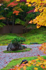 石庭と紅葉