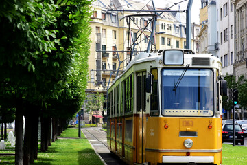Naklejka na ściany i meble Streetscape in Budapest with yellow tram and lush green trees. summer scene. travel and tourism concept. residential buildings in the background